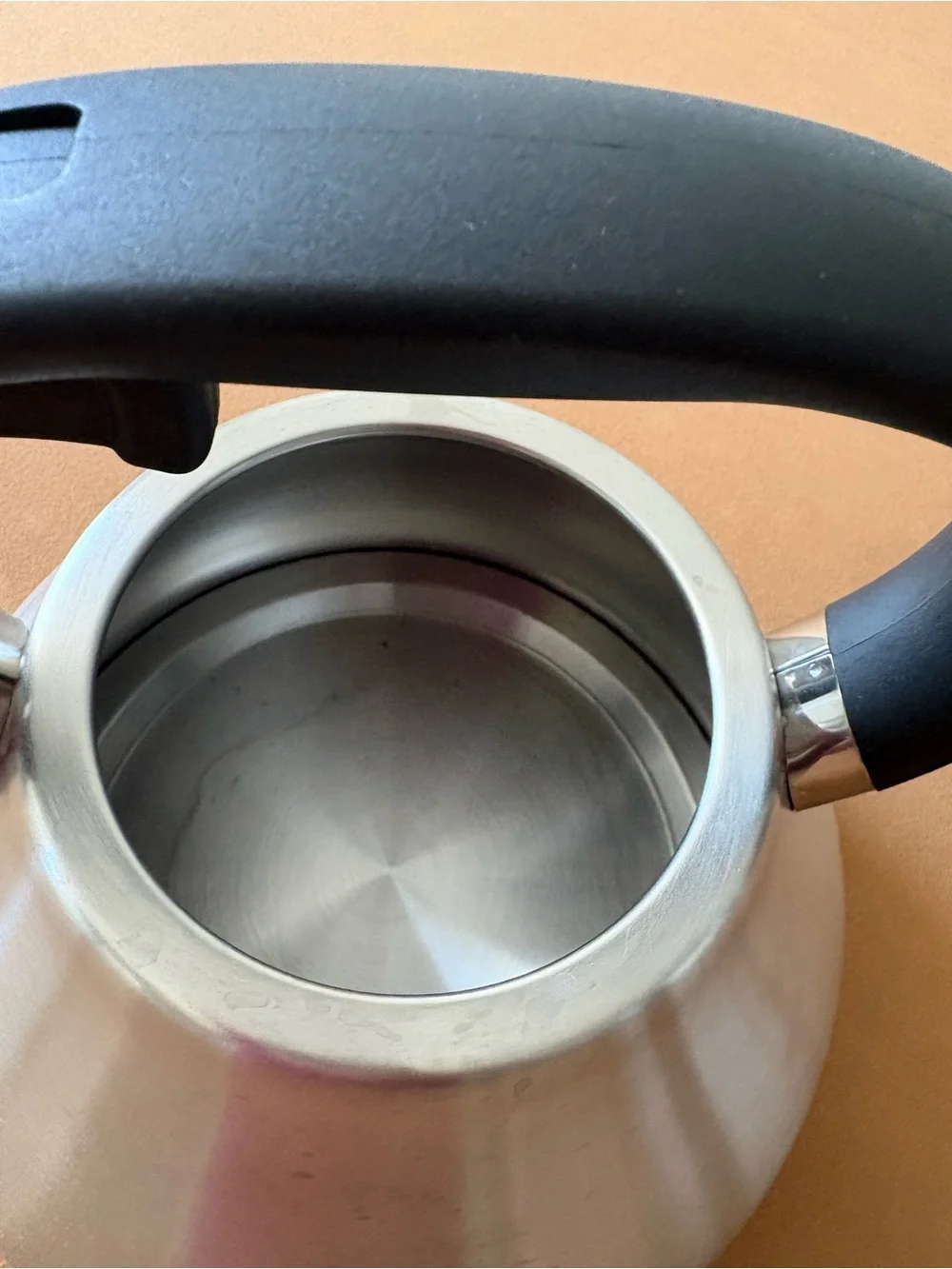 Lepicure Stainless Steel Whistling Tea Kettle with Black Handle